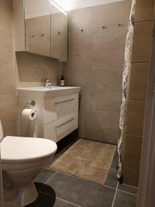 La salle de bains est pourvue de toilettes, d'un lavabo et d'un miroir. dans l'établissement Svendborg, Thurø ferievilla, à Svendborg