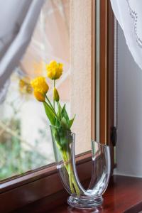 un jarrón con flores amarillas sentado en el alféizar de la ventana en Holiday House "Słoneczna" with Garden by Renters en Łukęcin