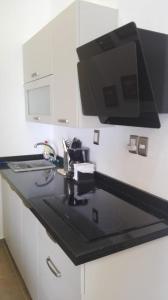 a kitchen counter with a sink and a microwave at Ocean Pacific appartment in Acapulco