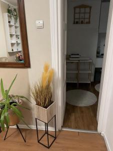 Ultracentral Studio Cherry Piata Amzei