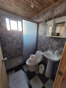 a bathroom with a sink and a toilet and a shower at Cabañas Aguas Claras in Pinto