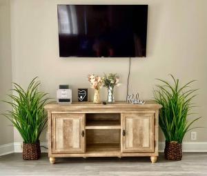 a tv on top of a wooden cabinet with two plants at Third Floor Score in Calabash