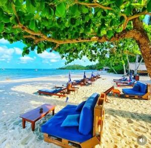 a beach with blue lounge chairs and the ocean at Pousada Boutique Coco Bambu Morere in Moreré