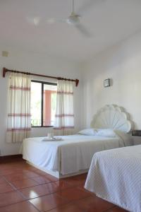 a bedroom with two beds and a window at Hotel Albatros in Puerto Escondido
