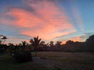 um pôr-do-sol com palmeiras num campo em casa vacacional campestre em Acacías