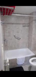 a bathroom with a bath tub and a toilet at Reina Mora Apart Bariloche in San Carlos de Bariloche
