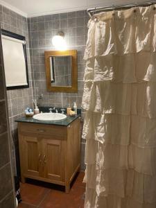 baño con lavabo y cortina de ducha en Apart Lo de Jose en Tandil