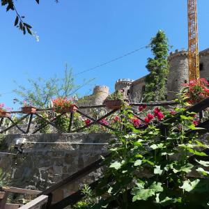 un muro de retención con flores frente a un castillo en Il giardino del borgo, en Rocca Cilento