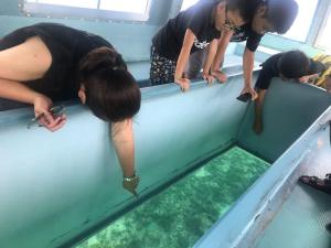 Гости 奥武岛上能看见海的新建一户建 奥武壹号A棟 走到海滩只有2分钟 walk to seaside only 2 minutes