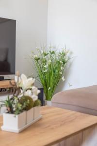 TV a/nebo společenská místnost v ubytování Apartments Edi - ZF Hvar