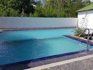 a large blue swimming pool with a white wall at Triple Tree Cottage in Tissamaharama