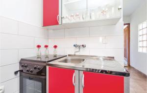 Kuchyň nebo kuchyňský kout v ubytování Pet Friendly Home In Severin Na Kupi