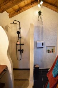 a bathroom with a shower in a wall at MaGiCo Loft in Kalavárda
