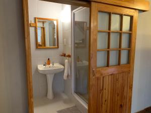 a bathroom with a sink and a shower and a mirror at Port Wine Guesthouse in Calitzdorp