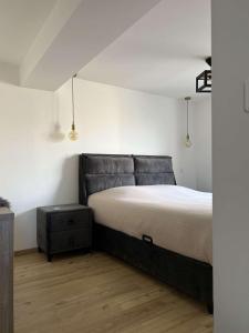 Posteľ alebo postele v izbe v ubytovaní Sinalospa - Cosalà appartemement Sauna Jacuzzi Grande terrasse à 5 minutes de Nancy Place Stanislas