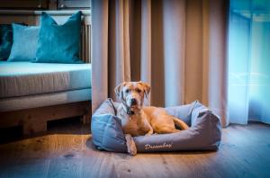 Ospiti di "Quality Hosts Arlberg" Hotel zur Pfeffermühle con animali domestici