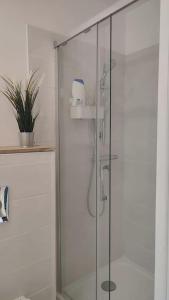 a shower with a glass door in a bathroom at Studio calme et discret in Brest