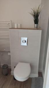 a bathroom with a white toilet with a plant above it at Studio calme et discret in Brest