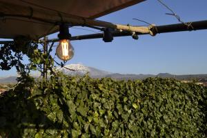 a light hanging from a hedge with a mountain in the background at Good Morning Etna in Bronte
