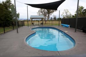 a swimming pool with a canopy and a gazebo at Mudgee Vineyard Motor Inn in Mudgee