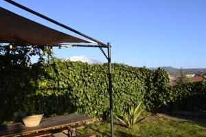 a picnic table in front of a hedge with a mountain at Good Morning Etna in Bronte