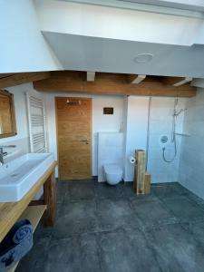 a bathroom with a toilet and a sink and a shower at Chalet Alpenflair in Pfronten