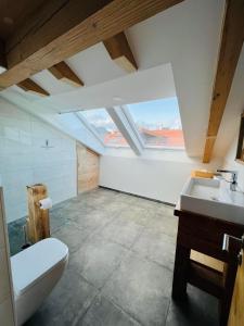 a bathroom with a toilet and a sink at Chalet Alpenflair in Pfronten