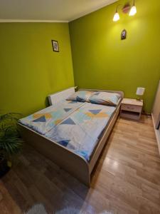 a bedroom with a bed and a green wall at Gospodarstwo Agroturystyczne Borówkowy Bukiet Smaków in Iwkowa