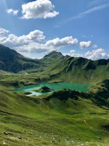 プフロンテンにあるChalet Alpenflairの緑の山の中の湖