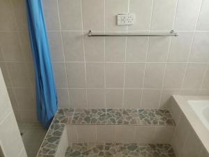 a shower with a blue shower curtain and a sink at Ledoba Bed & Breakfast 