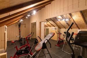 a gym with several exercise bikes in a room at Nicura Ranch Inn & Stables in Berea