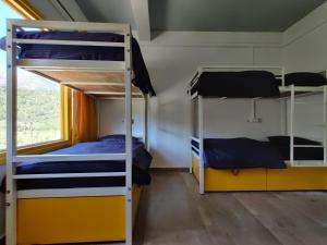 Proto Hostel客房内的一张或多张双层床