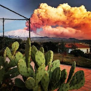 a cactus in front of a fire with a mountain at Good Morning Etna in Bronte