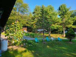 un cortile con sedie e alberi blu e bianchi di Rock Castle Resort a Lake George