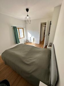 sypialnia z dużym łóżkiem w pokoju w obiekcie Superbe appartement mansardé avec mezzanine - proche centre ville, thermes, aquensis w mieście Bagnères-de-Bigorre