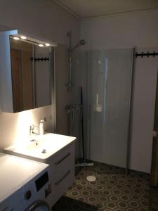 W łazience znajduje się prysznic, umywalka i lustro. w obiekcie Björnrike Vemdalen. Mitt i backen w mieście Vemdalen