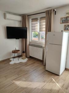 a living room with a white refrigerator and a window at Licul Apartment in Rovinj