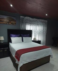 een slaapkamer met een groot bed met paarse en witte kussens bij KKK Guesthouse in Secunda
