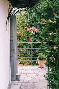 Zahrada ubytování Rustic Rose - Private Premium house