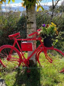 a red bike parked next to a tree with flowers at Apartment , Centre Carrick-On-Shannon in Carrick on Shannon