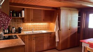 Kuchyň nebo kuchyňský kout v ubytování Chalet ALPEN LOTUS