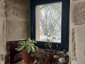 Zdjęcie z galerii obiektu Superbe maison familiale proche lacs et canal w mieście Beurizot