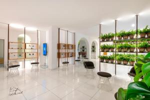 une salle avec des chaises et des plantes exposées dans l'établissement Hotel Villa Durrueli Resort & Spa, à Ischia