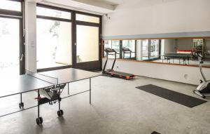 una palestra con due tavoli da ping pong in una stanza con finestre di 2-Raum Appartement Saxo a Sankt Englmar