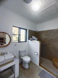 a bathroom with a toilet and a sink and a shower at Giraffe Studio @ Kruger in Marloth Park