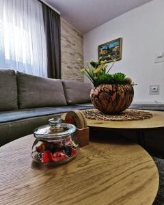 sala de estar con mesa de centro y sofá en Casa Vrelo, Golija, en Raška