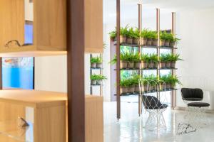 a room with potted plants on a rack at Hotel Villa Durrueli Resort & Spa in Ischia