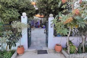 A garden outside Amethyst