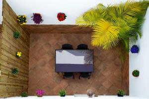 a room with a tv on a wall with plants at Apartamentos Aponiente in Conil de la Frontera