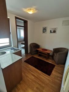 Il comprend une cuisine et un salon avec un évier et une table. dans l'établissement Apartments Stari most, à Mostar